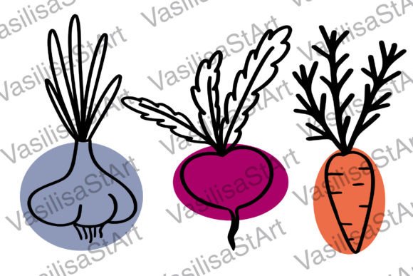 Beet, Carrot, Garlic. Set of Vegetables – Graphics & Illustrations for Branding