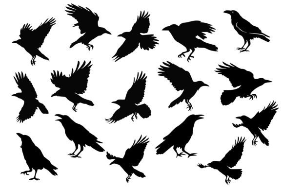 Crow SVG Bundle: Illustrations for Brand Campaigns
