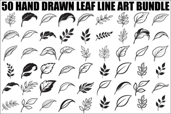Hand Drawn Leaf Line Art Bundle for Branding & Packaging