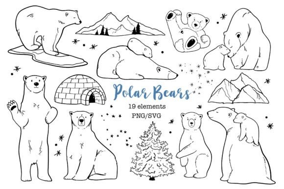 Polar Arctic Bear Clipart: Graphics for Illustrations & Selling
