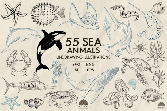 Sea Animals Line Art Graphics & Illustrations
