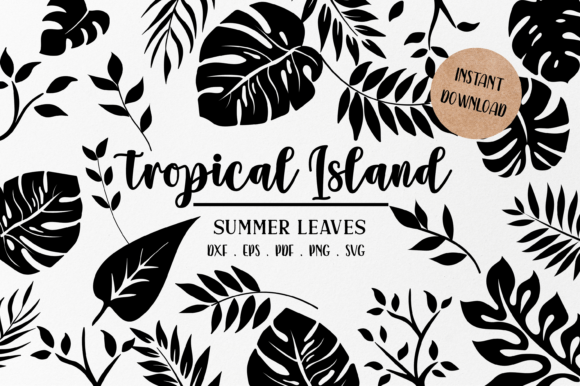 Tropical Leaves SVG Monstera Leaf Graphics & Illustrations
