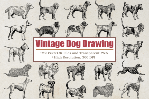 Vintage Dog Graphics & Illustrations: A Designer's Review