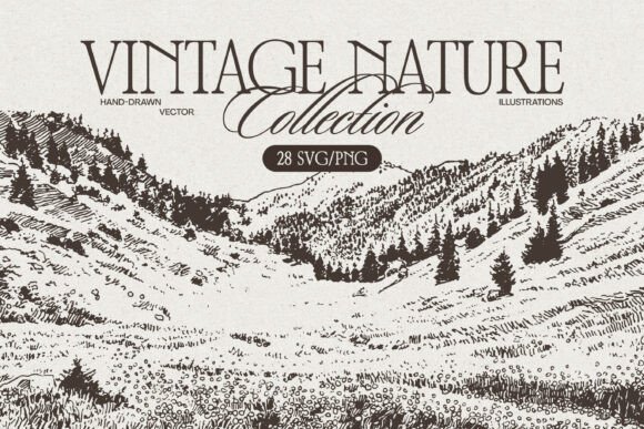 Vintage Nature Landscape: Graphics & Illustrations Review